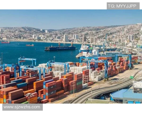 全球进出口贸易新机遇与挑战分析及未来发展趋势探讨 全球进出口贸易新机遇与挑战分析及未来发展趋势探讨