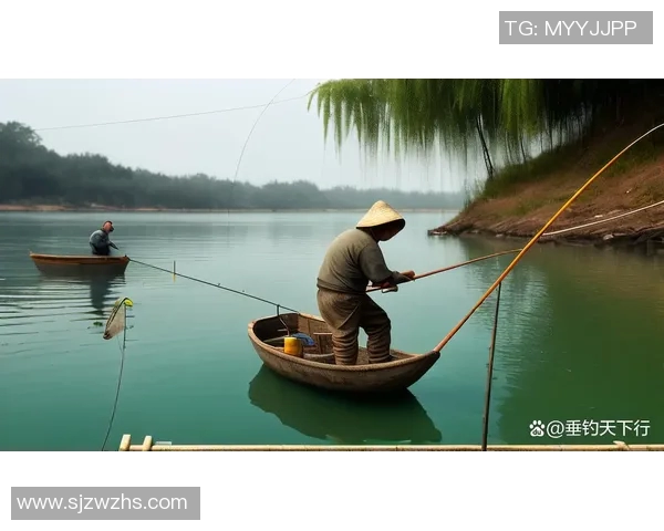 探寻渔具世界的奥秘与发展趋势，助你成为钓鱼达人必备装备全解析