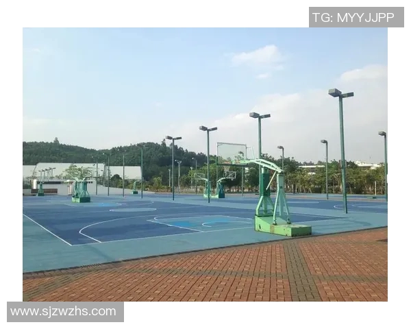 深圳攀岩队协作研究：提升团队配合与竞技水平的探索之路