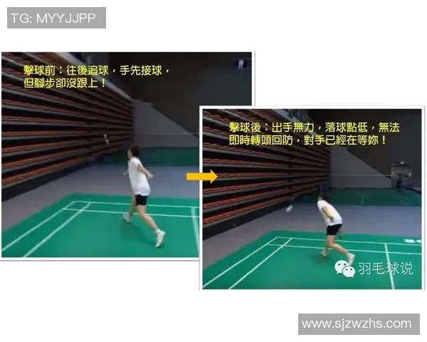深圳羽毛球队区域防守战术深度分析与实战应用探讨 深圳羽毛球队区域防守战术深度分析与实战应用探讨