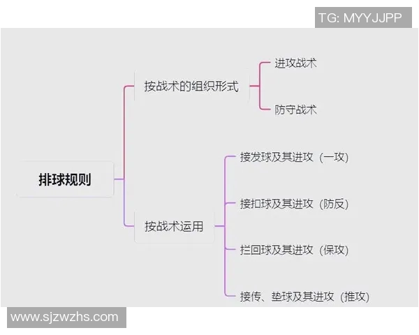 成都排球队反击战术解析与深度剖析排球竞技的魅力与挑战