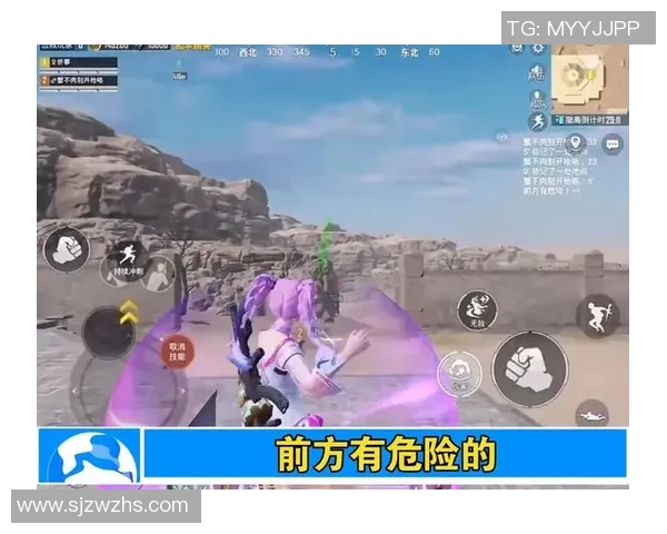 揭秘和平精英成功背后的故事与杨伟的独特见解