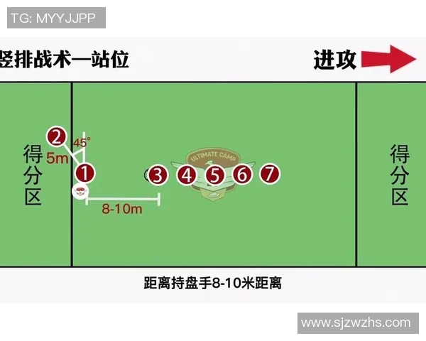 武汉排球队防守革新之路探秘如何提升团队竞争力与战术水平